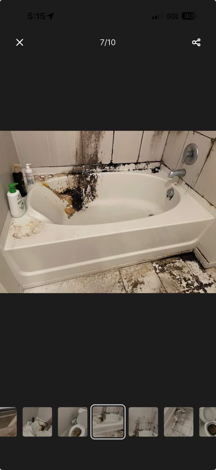 Bathroom with mold and mildew before cleaning