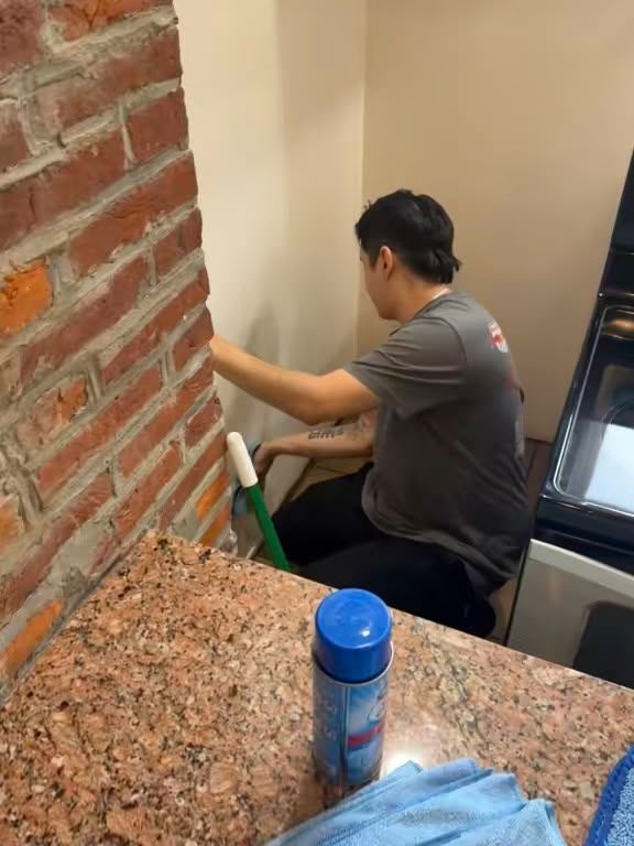 Worker hand-scrubbing a brick wall